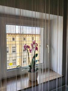 シュチェチンにあるLuksusowe Apartamenty w Centrum Szczecinaの窓際のテーブルに座る鉢植え