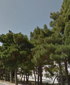 Príroda v okolí apartmánu