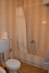 een badkamer met een toilet en een douche bij Eva Apartments in Limenaria