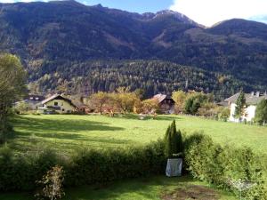 a green field with mountains in the background at Haus Kolbnitz in Unterkolbnitz