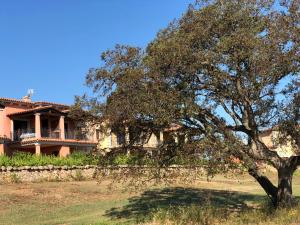 a large house with a tree in front of it at Appartamento in residence fronte mare in Murta Maria