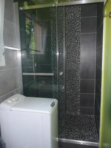 eine Dusche mit Glastür neben einem WC in der Unterkunft Villa Le Mauret in Andernos-les-Bains