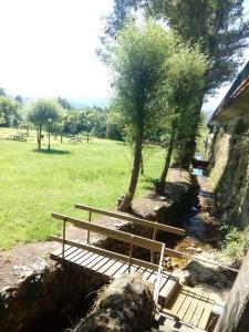 Zahrada ubytování Casa da Lomba