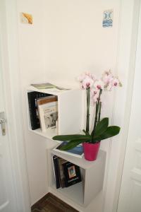 a white shelf with a potted plant and books at Le Logge in Scicli