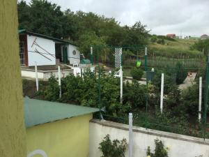 Foto dalla galleria di Casa Bella Turda a Turda