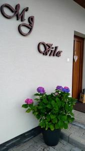Fotografie z fotogalerie ubytování MJ Vila ve Staré Lesné
