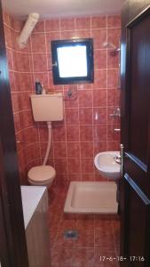 a bathroom with a toilet and a tv on the wall at Apartments Vila Marija in Žabljak