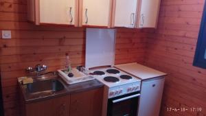 a small kitchen with a stove and a sink at Apartments Vila Marija in Žabljak