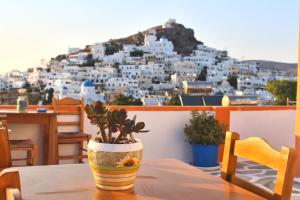 Γενική θέα στο βουνό ή θέα στο βουνό από  αυτός ο ξενώνας