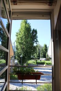 Zahrada ubytování Hotel La Posada De Alameda
