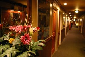 Fotografie z fotogalerie ubytování Hotel Gasthof v destinaci Kagošima