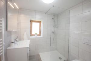 Koupelna v ubytování 1861 Blejka apartments Bled + 21 fotografií