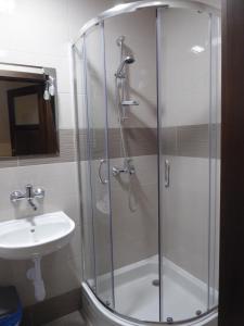 prysznic ze szklanymi drzwiami obok umywalki w obiekcie Sloneczna Kwatera w Cisnej