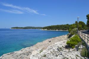 a view of the ocean from a rocky shore at Apartments Nicole in Pula