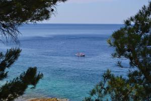 a boat in the middle of a large body of water at Apartments Nicole in Pula