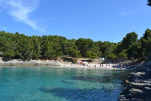 a group of people on a beach in the water at Apartments Nicole in Pula