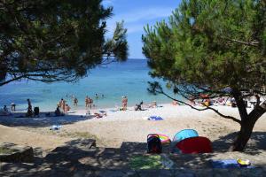 a group of people on a beach near the water at Apartments Nicole in Pula