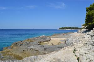 a group of people standing on a rocky shore at Apartments Nicole in Pula