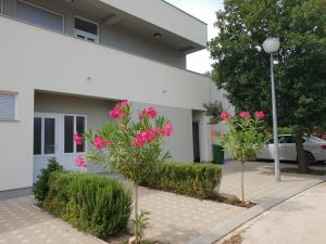 Zahrada ubytování Apartmani Jozic