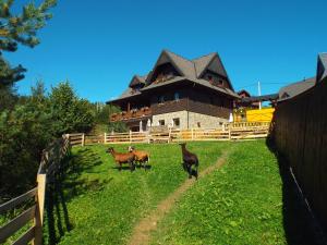 Foto dalla galleria di Pension Adamjak a Ždiar Altre 22 foto