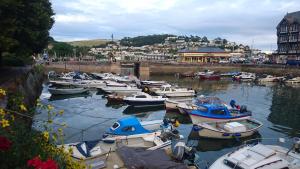 a bunch of boats are docked in a harbor at Lawnswood Guest House in Torquay