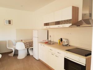 Kuchyň nebo kuchyňský kout v ubytování Apartmani Jozic