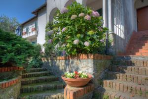 A garden outside Appartamento in Villa a 5 KM dal mare