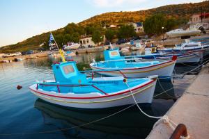 Φυσικό τοπίο κοντά σε αυτό το διαμέρισμα +44 φωτογραφίες