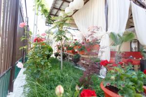 Zahrada ubytování Vila Sandra