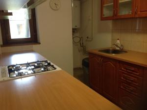A kitchen or kitchenette at Privat Monika