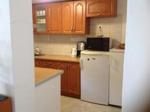 A kitchen or kitchenette at Privat Monika
