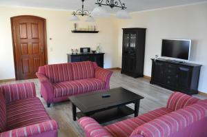 a living room with two couches and a tv at Spreewaldhof am Wasser in Raddusch +8 photos