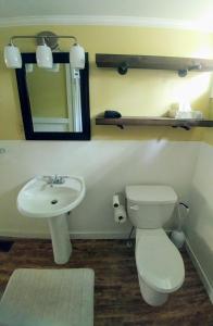 a bathroom with a toilet and a sink and a mirror at Steps to the Waterfront in Shelburne +12 photos
