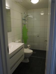 e bagno con servizi igienici, doccia e lavandino. di Voss, Øvre Tråstølen a Skulestadmo