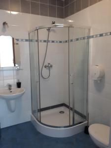 La salle de bains est pourvue d'une douche et d'un lavabo. dans l'établissement Bed & Breakfast Green Roof, à Rybarzowice