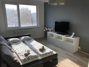 una camera con letto e TV su un armadietto bianco di PanoramaPanel a Budapest