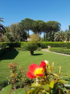 A garden outside Lido Azzurro Residence rta