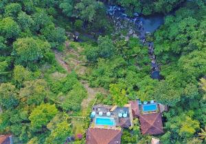 uma vista aérea de uma casa na floresta em Villa Kalisat Resort em Ubud