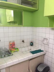 a kitchen with green walls and a sink and a toilet at Fleetwood Suites in Santo Tomas