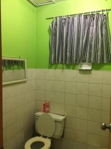 a bathroom with a toilet and a green wall at Fleetwood Suites in Santo Tomas