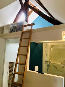a loft bed in a room with a ladder at La Maison des Arts, Le Six in Honfleur