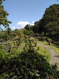 Photo de la galerie de l'établissement Dhangin Taman, à Tirtagangga