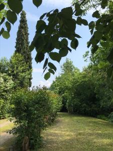 een rij bomen en struiken in een park bij L'Orée de la cité in Carcassonne