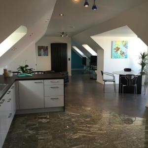 Kuchyň nebo kuchyňský kout v ubytování Advantage Appartements Hotel