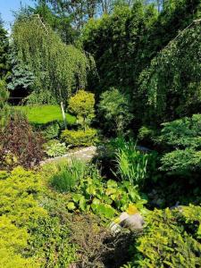 a garden with flowers and plants and trees at Pokój w Warszawie-Wawer in Warsaw