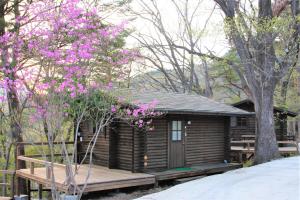 a wooden cabin with pink flowers in front of it at Shomarutoge Garden House in Hanno
