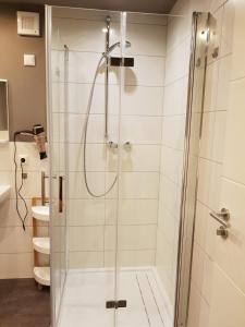 a shower with a glass door in a bathroom at Ferienwohnung Alte Linde in Hardheim