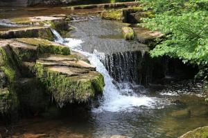 Φυσικό τοπίο κοντά σε αυτό το διαμέρισμα