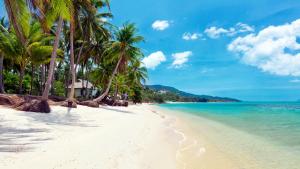 una playa con palmeras y el océano en Villa Atlantis 6 - Deluxe 2BDR, Sea View, Private Pool, en Chaweng Noi Beach