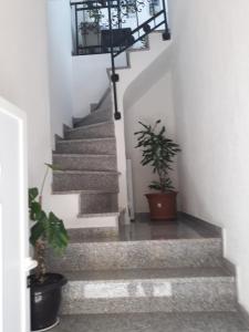 Fotografie z fotogalerie ubytování Lavanda Apartment & Studio - Old Town Mali Lošinj v destinaci Mali Lošinj
